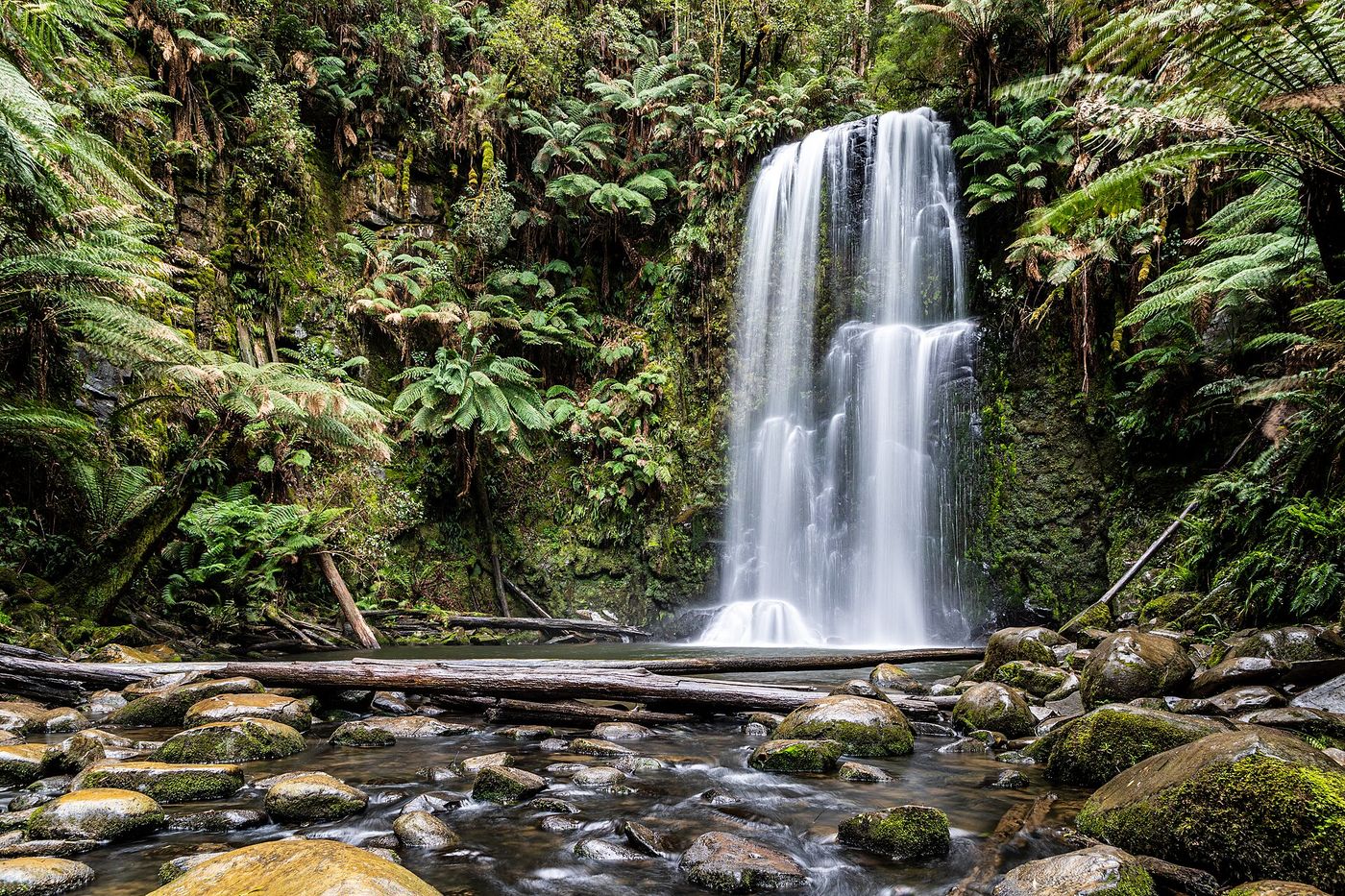 Federal Roadless Rule Repeal Faces Pushback from Foresters and Activists