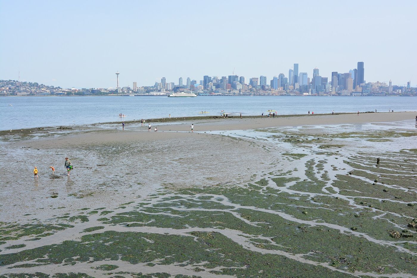PUD Launches Go Sustainable! Platform for Community Sustainability Ideas